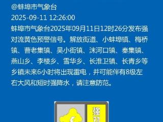 刚刚 蚌埠发布强对流预警