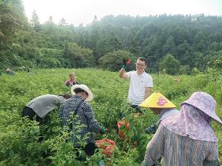 健康向黔·医者仁心——群众身边医卫工作者故事 张顺：毫克与脚印，白大褂上的泥土香