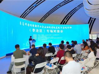 政企协同促融合 资本赋能助落地 专精特新中小企业融链固链建链常态化行动在李沧区举办专场对接会