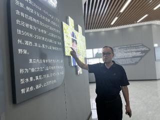 一顿地摊火锅 “聊”来一个企业