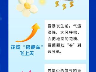 长图｜为什么会出现雷暴哮喘？如何防范？