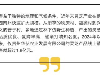 黔西南：深山有“灵” 林下生金