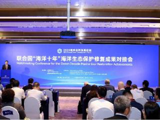 长岛综试区生态实践项目荣获首届联合国“海洋十年”海洋生态保护修复大赛种子基金重点项目