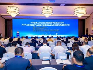 2025山东新能源产业发展大会暨第五届山东储能高质量发展大会在济南开幕