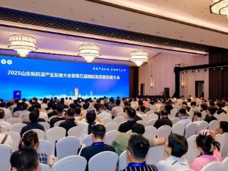 主题大会丨2025山东新能源产业大会暨第五届储能高质量发展大会主题会议成功举办