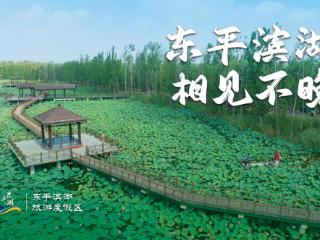 稻屯洼湿地：秋天在这里放慢了脚步