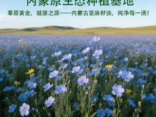 北纬41°的黄金馈赠，籽香坊用一瓶油撬动健康新纪元
