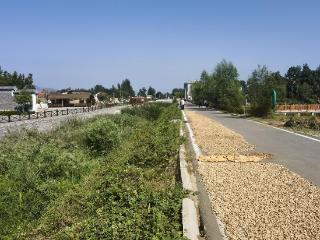 从“污点”到“亮点”，沂蒙山区小微湿地的生态蝶变