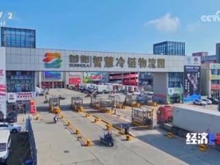 央视《经济半小时》聚焦首衡：打造京津冀“菜篮子”冷链与数字双引擎