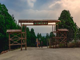 平邑县九间棚村实践创新“绿水青山就是金山银山”结硕果