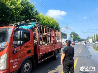 兰陵县矿坑镇：加强畜禽检疫防线 保障畜产品质量安全
