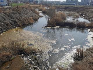 见证河湖蝶变·共建美丽山丨一泓清水润肥城：康汇河“重生”记