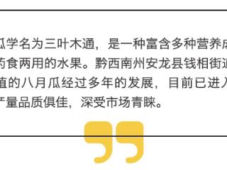 黔西南安龙：八月瓜喜丰收