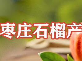榴红深处丨峄城老榴木“重生”记：化身艺术品激活资源价值