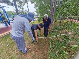 烟台市园林建设养护中心：变“废”为美，打造生态休憩新空间