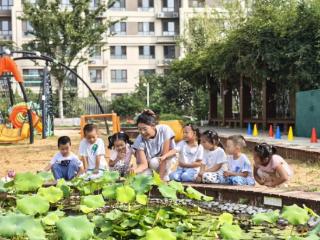 烟台高新区策划教师节专属报道：孩子交给你，我放心！