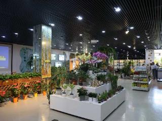全景探秘济南市泉民园艺生态美学空间