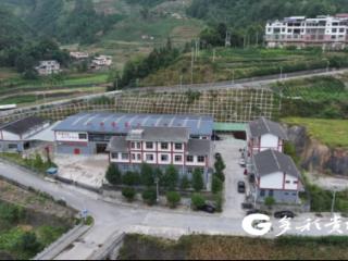 秋染茶乡梦正甜 东西协作奏响望谟茶乐章