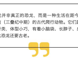 贵州兴义的石头里藏着“龙”