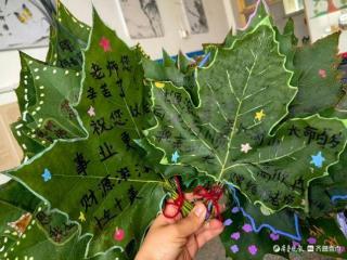 叶语成册——广平镇麻庄小学学生用“树叶”为教师节添绿意‌