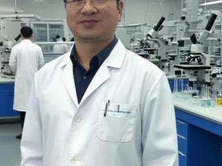 突破性溶栓革新：曾运雄教授团队引领查尔酮纤溶酶治疗新纪元，重塑心脑血管疾病防控格局