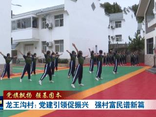 武当山龙王沟村：党建引领促振兴 强村富民谱新篇