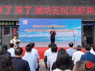 迈向绿色新“食”代：无抗活虾，引领健康消费新时尚