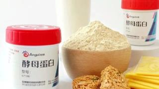 AnPro®酵母蛋白获美国GRAS认证，定义未来可持续蛋白新标准