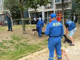 150斤野猪闯进居民家中 复合弓当场捕杀