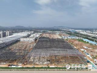 枣庄高新区 “双线作战”跑出发展加速度