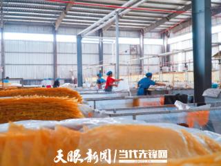 豆香与电能“齐飞”！看纳雍电厂如何“蒸”出绿色新天地