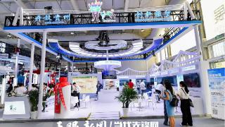 在链接全球中共享开放机遇｜贵州代表团参加2025年服贸会观察(图1)