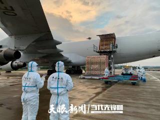 贵阳海关保障1078头丹麦种猪安全高效进境