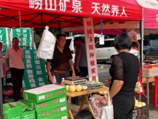 一场盛会引爆城市消费：郓城秋季博览会圆满收官