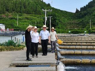 工行凯里岑巩支行：“贷”动虹鳟鱼产业，“润”出致富新篇章