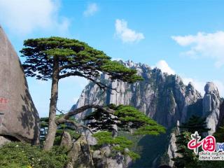 安徽黄山：28家“旅游营销服务基地”挂牌