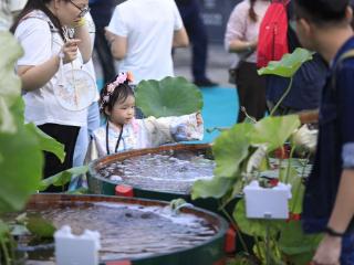 见过古代“能养鱼的桌子”吗？恭王府举办金鱼特展