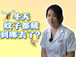 【天眼问医】如何让来年家里蚊子减少？现在就可以采取措施了