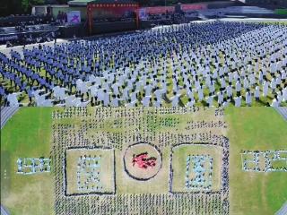 传承与创新并进 仲景国医四十载再启新程