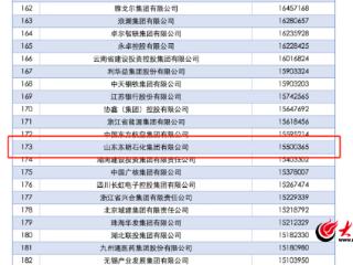 科技突围、连年进位！东明石化位列2025中国企业500强173位