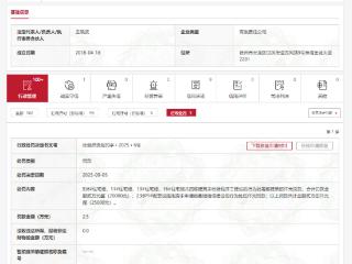 徐州淮海金融招商发展有限公司多次因“抢跑”被罚