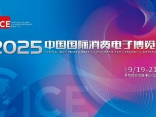 人形机器人“跑”向实用，2025电博会成最佳T台！