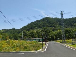路里坑村：绿色创新赋能——废弃矿坑变身“绿野仙踪”，书写乡村振兴新篇章