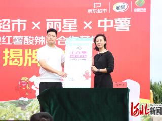 京东超市·丽星·中薯纯红薯酸辣粉合作基地落户卢龙