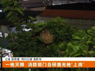 一枪灭蜂！十堰消防部门自研激光枪“上岗”