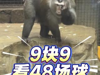 贵州小老费首个硬广 献给“贵阳城超”
