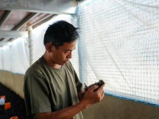 订单农业不愁卖 大麻窝村致富“咯咯哒”