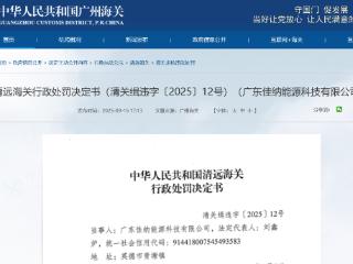 广东佳纳能源科技有限公司违规被罚10万元