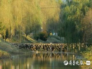 从“臭水沟”到“效益河”，看烟台朱柳河的“幸福变形计”