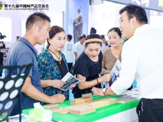 今年的林交会有啥不一样？这五大亮点让你不虚此行